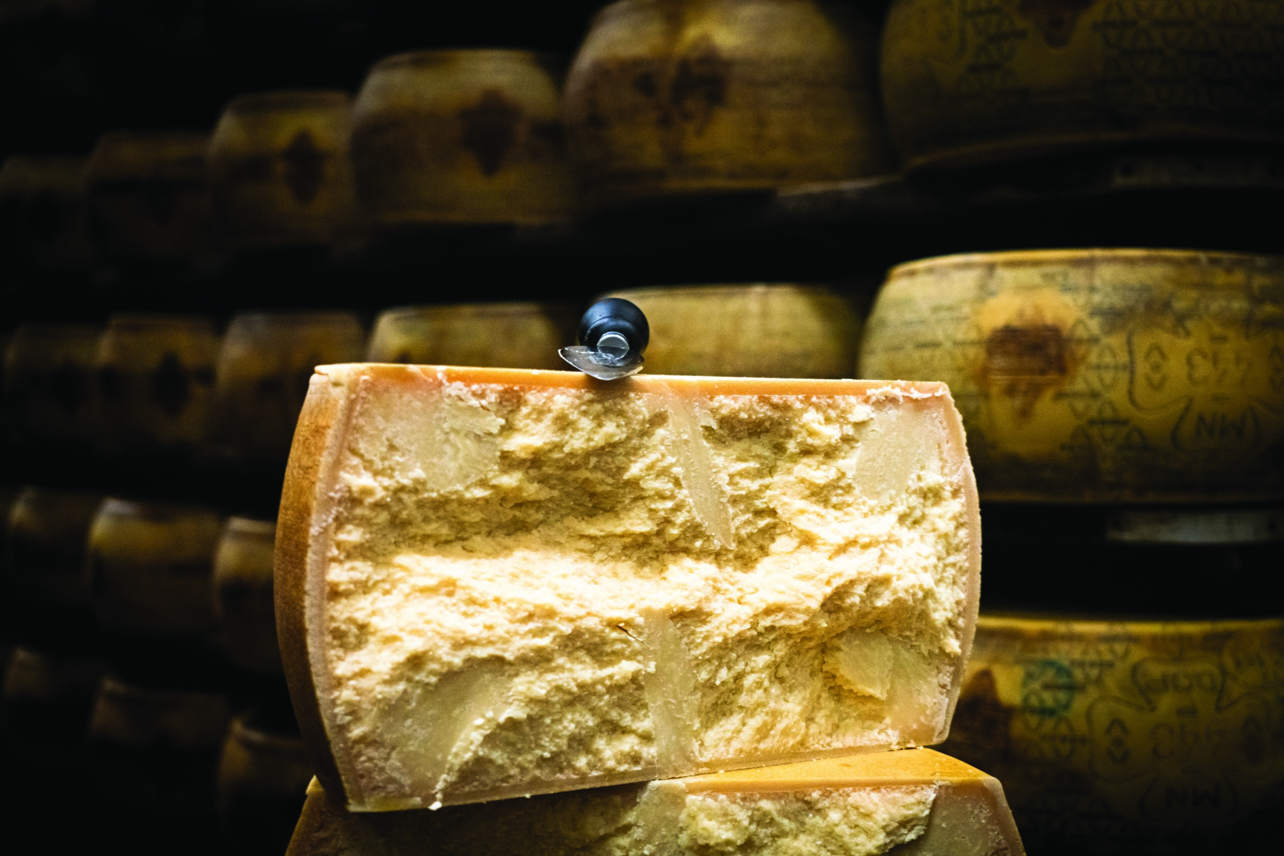 Cheese A7R9479 scaled
